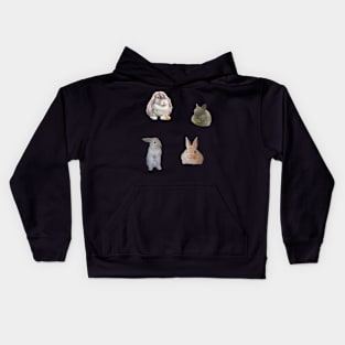 Rabbit Sticker pack 4 Kids Hoodie